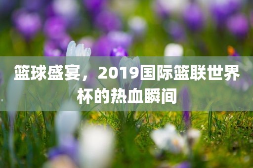 篮球盛宴，2019国际篮联世界杯的热血瞬间
