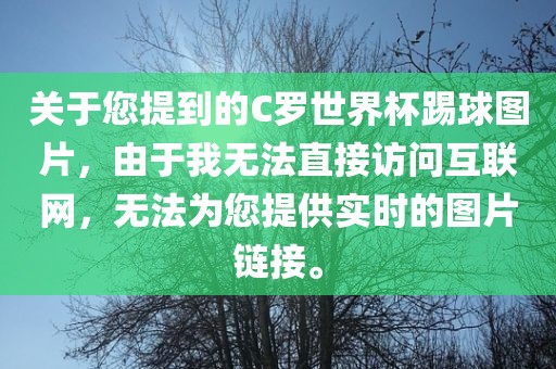 关于您提到的C罗世界杯踢球图片，由于我无法直接访问互联网，无法为您提供实时的图片链接。漯河市盈旭机械设备有限公司