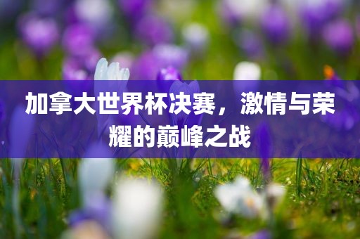 加拿大世界杯决赛，激情与荣耀的巅峰之战漯河市盈旭机械设备有限公司