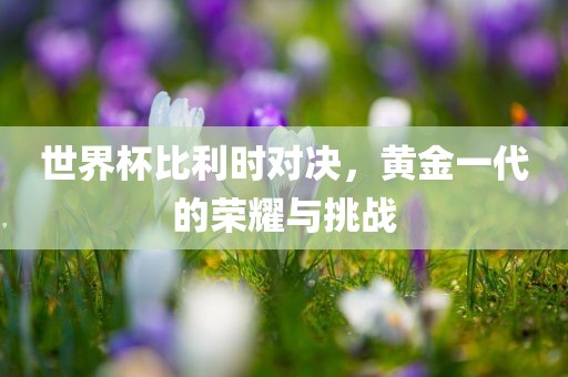世界杯比利时对决，黄金一代的荣耀与挑战漯河市盈旭机械设备有限公司