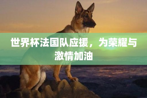 世界杯法国队应援，为荣耀与激情加油漯河市盈旭机械设备有限公司