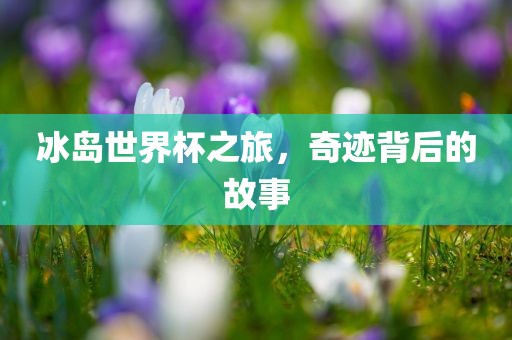 冰岛世界杯之旅，奇迹背后的故事