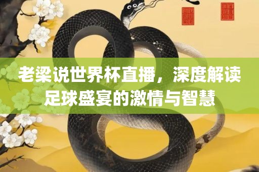 老梁说世界杯直播，深度解读足球盛宴的激情与智慧