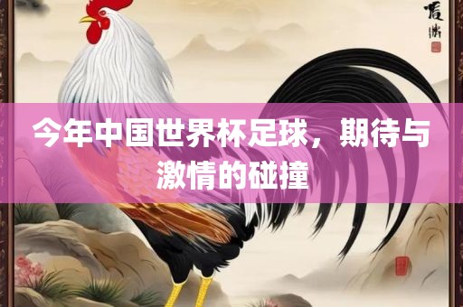 今年中国世界杯足球，期待与激情的碰撞
