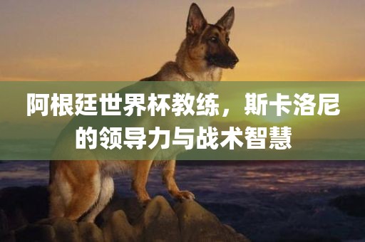 阿根廷世界杯教练，斯卡洛尼的领导力与战术智慧
