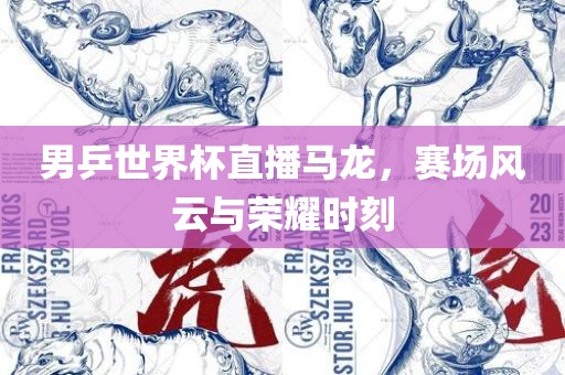 男乒世界杯直播马龙，赛场风云与荣耀时刻