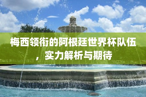 梅西领衔的阿根廷世界杯队伍，实力解析与期待