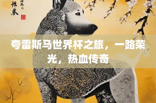 夸雷斯马世界杯之旅，一路荣光，热血传奇