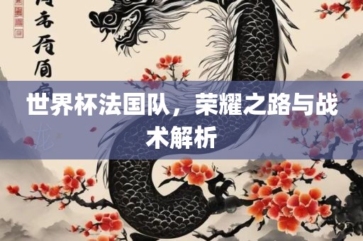 世界杯法国队，荣耀之路与战术解析