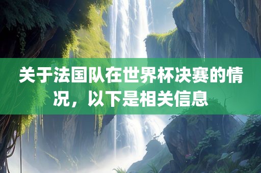 关于法国队在世界杯决赛的情况，以下是相关信息