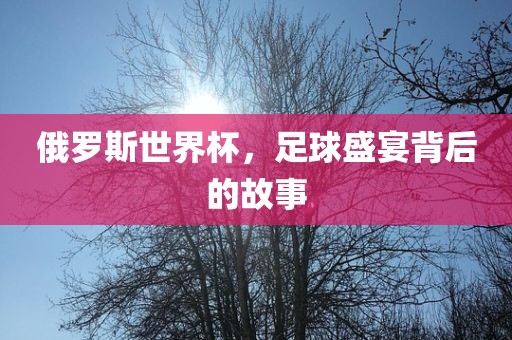 俄罗斯世界杯，足球盛宴背后的故事