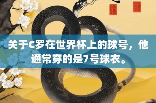 关于C罗在世界杯上的球号，他通常穿的是7号球衣。