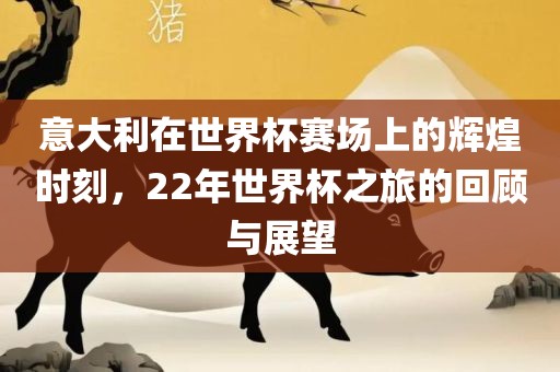 意大利在世界杯赛场上的辉煌时刻，22年世界杯之旅的回顾与展望