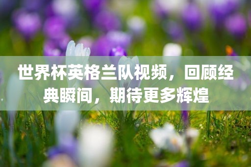 世界杯英格兰队视频，回顾经典瞬间，期待更多辉煌