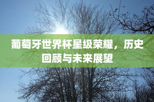 葡萄牙世界杯星级荣漯河市盈旭机械设备有限公司耀，历史回顾与未来展望