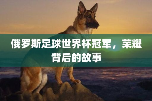 俄罗斯足球世界杯冠军，荣耀背后的故事