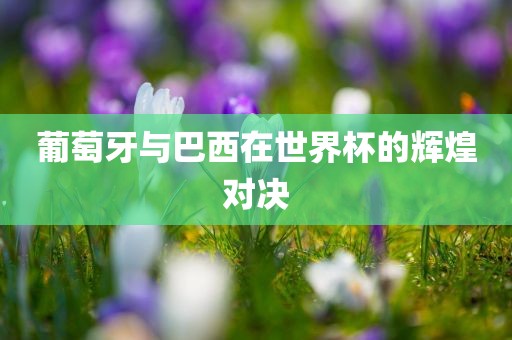 葡萄牙与巴西在世界杯的辉煌对决