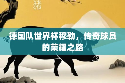 德国队世界杯穆勒，传奇球员的荣耀之路