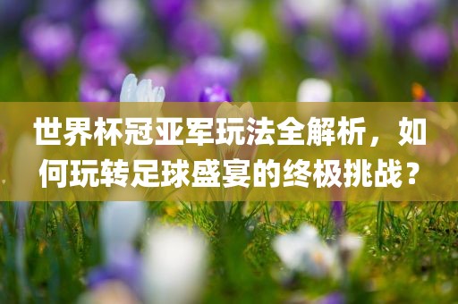 世界杯冠亚军玩法全解析，如何玩转足球盛宴的终极挑战？
