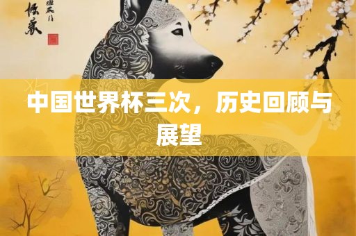 中国世界杯三次，历史回顾与展望