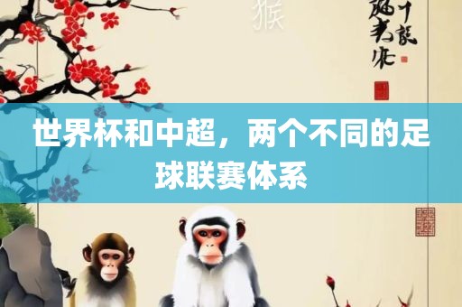 世界杯和中超，两个不同的足球联赛体系