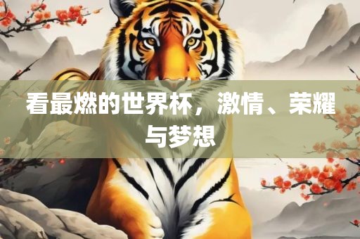 看最燃的世界杯，激情、荣耀与梦想