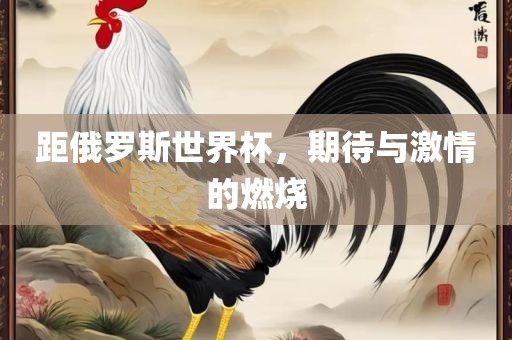距俄罗斯世界杯，期待与激情的燃烧