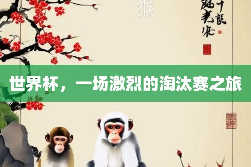 世界杯，一场激烈的淘汰赛之旅