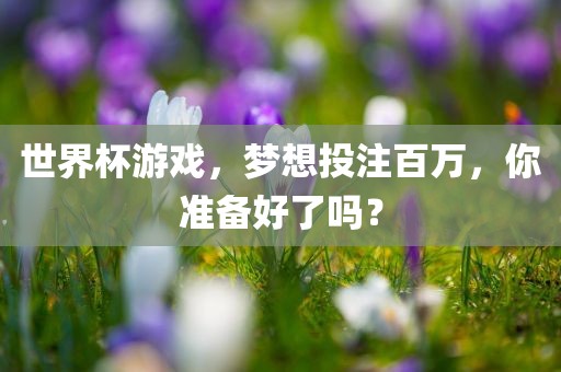 世界杯游戏，梦想投注百万，你准备好了吗？