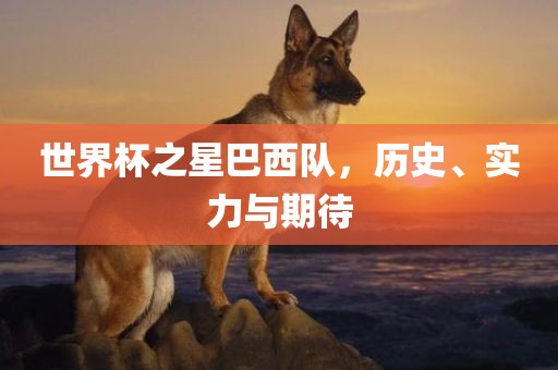 世界杯之星巴西队，历史、实力与期待