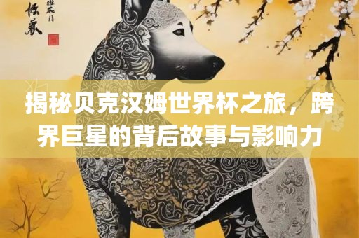 揭秘贝克汉姆世界杯之旅，跨界巨星的背后故事与影响力漯河市盈旭机械设备有限公司