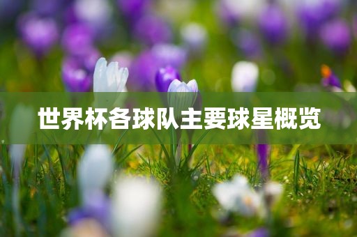 世界杯各球队主要球星概览