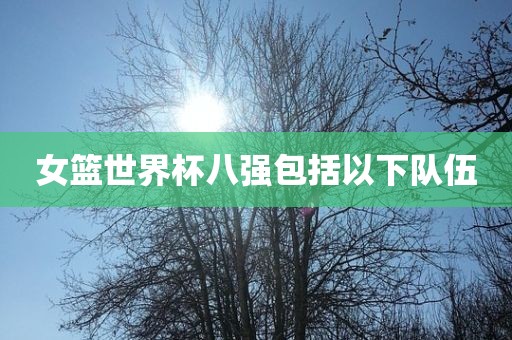 女篮世界杯八强包括以下队伍漯河市盈旭机械设备有限公司
