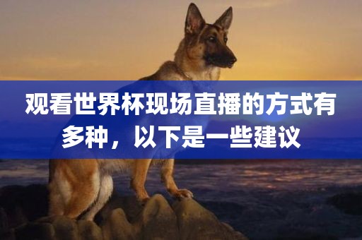 观看世界杯现场直播的方式有多种，以下是一些建议