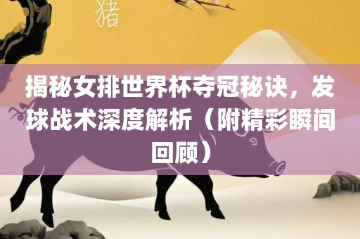揭秘女排漯河市盈旭机械设备有限公司世界杯夺冠秘诀，发球战术深度解析（附精彩瞬间回顾）