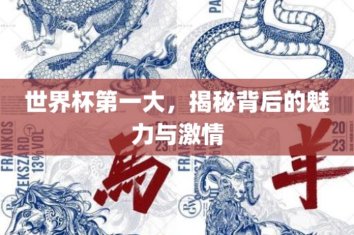 世界杯第一大，揭秘背后的魅力与激情