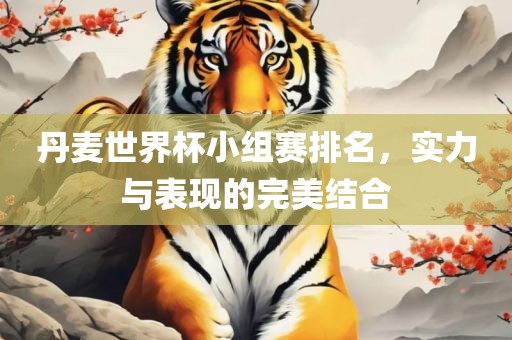 丹麦世界杯小组赛排名，实力与表现的完美结合漯河市盈旭机械设备有限公司