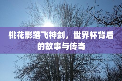 桃花影落飞神剑，世界杯背后的故事与传奇漯河市盈旭机械设备有限公司