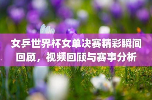 女乒世界杯女单决赛精彩瞬间回顾，视频回顾与赛事分析