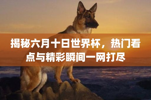 揭秘六月十日世界杯，热门看点与精彩瞬间一网打尽