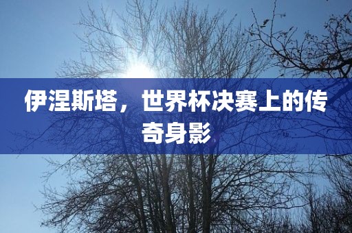 伊涅斯塔，世界杯决赛上的传奇身影