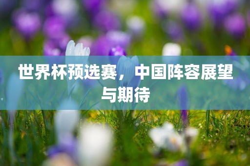 世界杯预选赛，中国阵容展望与期待