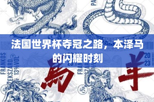 法国世界杯夺冠之路，本泽马的闪耀时刻