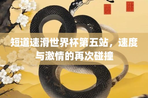 短道速滑世界杯第五站，速度与激情的再次碰撞