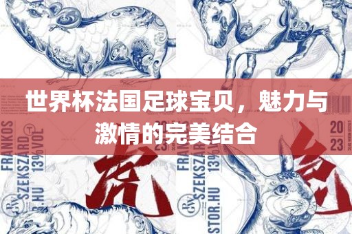 世界杯法国足球宝贝，魅力与激情的完美结合