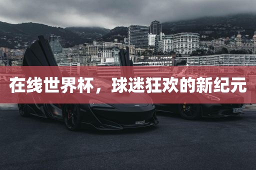 在线世界杯，球迷狂欢的新纪元漯河市盈旭机械设备有限公司