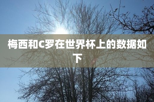 梅西和C罗在世界杯上的数据如下