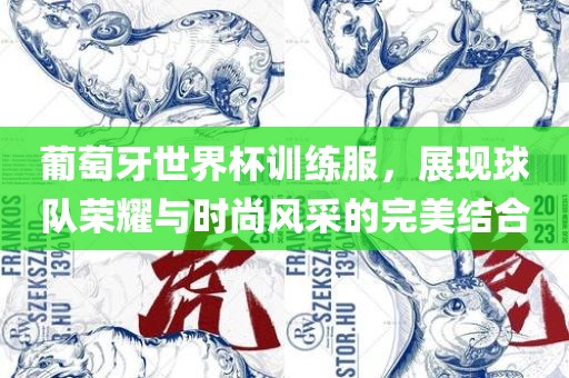 葡萄牙世界杯训练服，展现球队荣耀与时尚风采的完美结合漯河市盈旭机械设备有限公司
