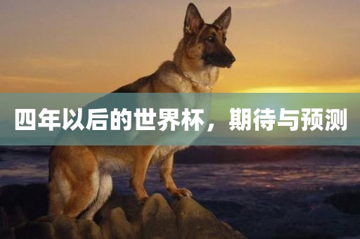 四年以后的世界杯，期待与预测漯河市盈旭机械设备有限公司