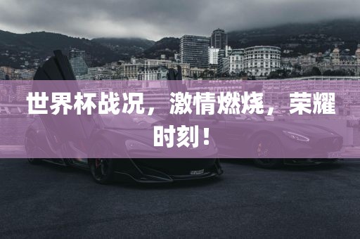 世界杯战况，激情燃烧，荣耀时刻！漯河市盈旭机械设备有限公司